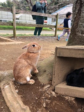 成田ゆめ牧場に投稿された画像（2021/10/31）
