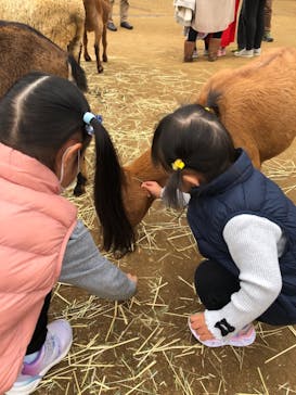 成田ゆめ牧場に投稿された画像（2021/10/31）