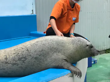 ゼロ距離水族館 伊勢シーパラダイスに投稿された画像（2021/10/31）