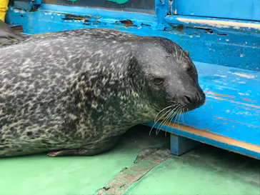 ゼロ距離水族館 伊勢シーパラダイスに投稿された画像（2021/10/31）
