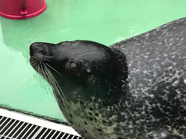 ゼロ距離水族館 伊勢シーパラダイスに投稿された画像（2021/10/31）