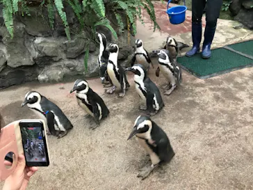 ゼロ距離水族館 伊勢シーパラダイスに投稿された画像（2021/10/31）