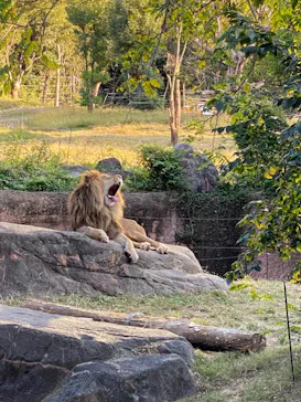 天王寺動物園に投稿された画像（2021/10/31）