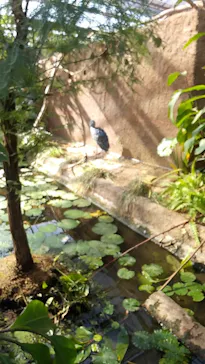 神戸どうぶつ王国に投稿された画像（2021/10/31）