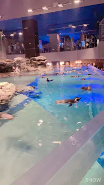 すみだ水族館に投稿された画像（2021/10/31）