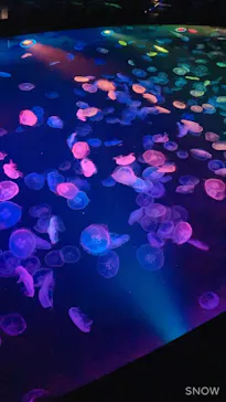 すみだ水族館に投稿された画像（2021/10/31）