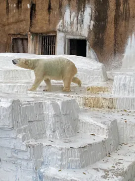 天王寺動物園に投稿された画像（2021/10/31）