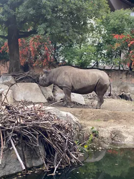 天王寺動物園に投稿された画像（2021/10/31）
