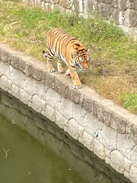 天王寺動物園に投稿された画像（2021/10/31）