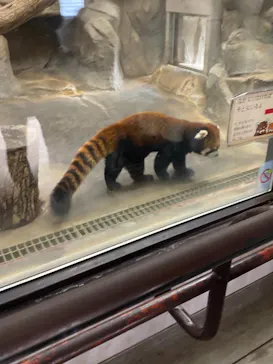 天王寺動物園に投稿された画像（2021/10/31）