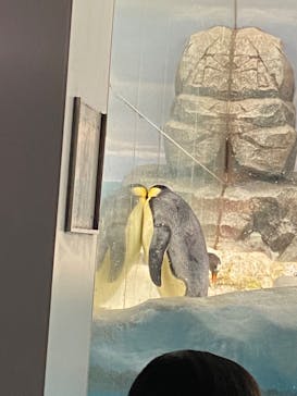 名古屋港水族館に投稿された画像（2021/10/31）