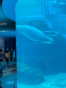 名古屋港水族館に投稿された画像（2021/10/31）