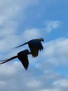 神戸どうぶつ王国に投稿された画像（2021/10/31）