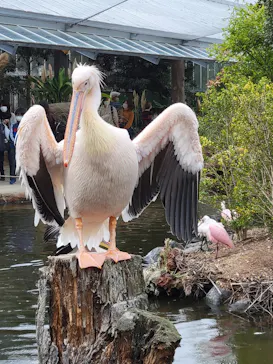 神戸どうぶつ王国に投稿された画像（2021/10/31）