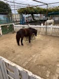 宇都宮動物園に投稿された画像（2021/10/31）