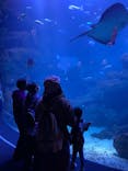 京都水族館に投稿された画像（2021/10/31）