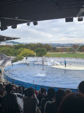 京都水族館に投稿された画像（2021/10/31）