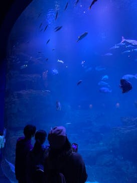 京都水族館に投稿された画像（2021/10/31）