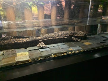 京都水族館に投稿された画像（2021/10/31）