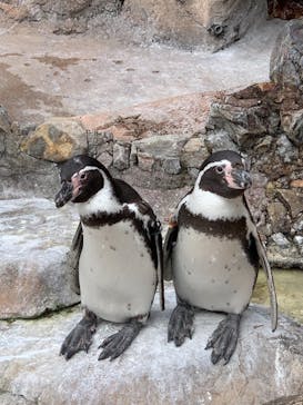 東武動物公園に投稿された画像（2021/10/31）