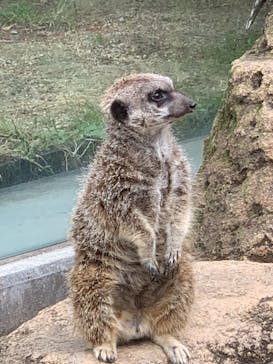 東武動物公園に投稿された画像（2021/10/31）