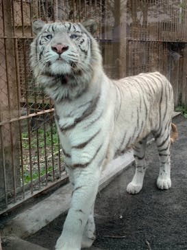 東武動物公園に投稿された画像（2021/10/31）