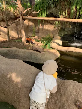 神戸どうぶつ王国に投稿された画像（2021/10/31）