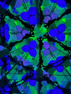 チームラボフォレスト 福岡 - SBI証券に投稿された画像（2021/10/31）