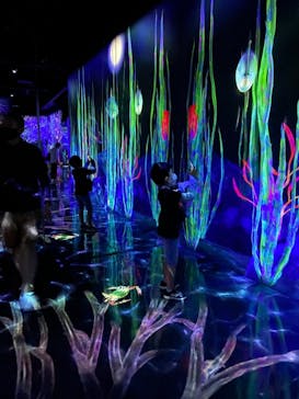 チームラボフォレスト 福岡 - SBI証券に投稿された画像（2021/10/31）