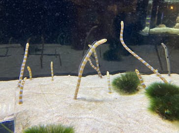 京都水族館に投稿された画像（2021/10/31）