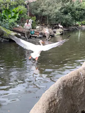 神戸どうぶつ王国に投稿された画像（2021/10/31）