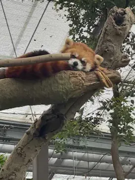 神戸どうぶつ王国に投稿された画像（2021/10/31）