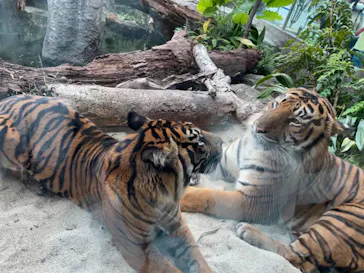 神戸どうぶつ王国に投稿された画像（2021/10/31）