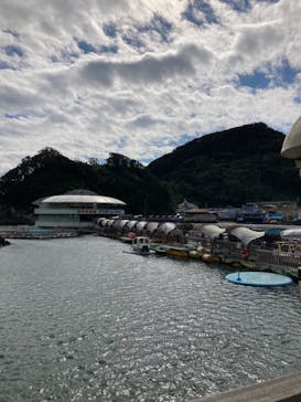 下田海中水族館に投稿された画像（2021/10/31）