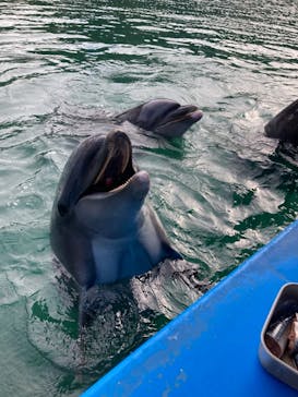 下田海中水族館に投稿された画像（2021/10/31）