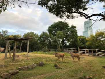 天王寺動物園に投稿された画像（2021/10/31）