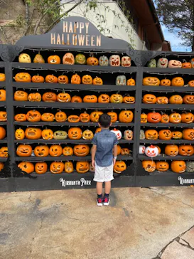 ひらかたパークに投稿された画像（2021/10/31）