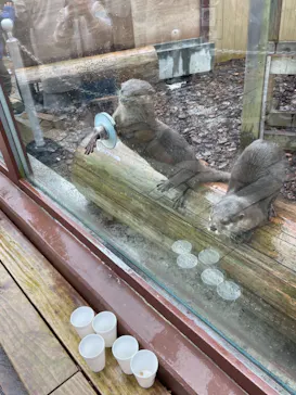 横浜・八景島シーパラダイスに投稿された画像（2021/10/31）