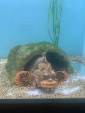 仙台うみの杜水族館に投稿された画像（2021/10/31）