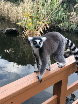 神戸どうぶつ王国に投稿された画像（2021/10/31）