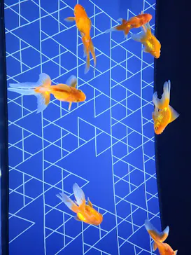 すみだ水族館に投稿された画像（2021/10/31）