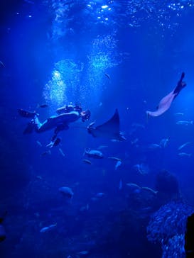 京都水族館に投稿された画像（2021/10/31）
