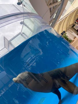 サンシャイン水族館に投稿された画像（2021/10/31）