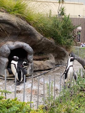 サンシャイン水族館に投稿された画像（2021/10/31）
