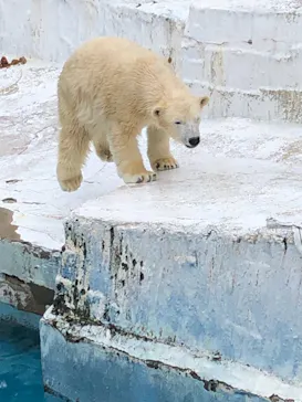 天王寺動物園に投稿された画像（2021/10/31）