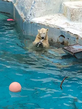 天王寺動物園に投稿された画像（2021/10/31）