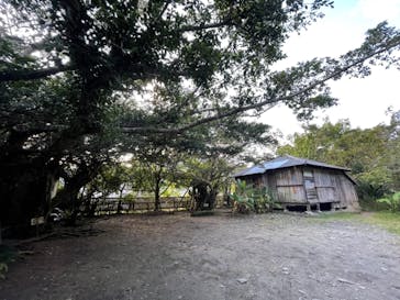 ミッドナイトツアー 奄美に投稿された画像（2021/10/31）