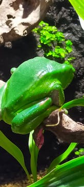 マクセル アクアパーク品川に投稿された画像（2021/10/31）