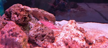 マクセル アクアパーク品川に投稿された画像（2021/10/31）