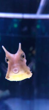 マクセル アクアパーク品川に投稿された画像（2021/10/31）